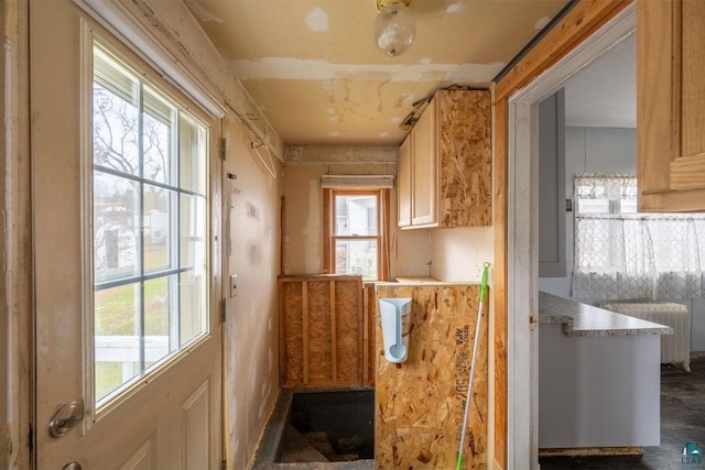 doorway to outside with radiator heating unit and a healthy amount of sunlight