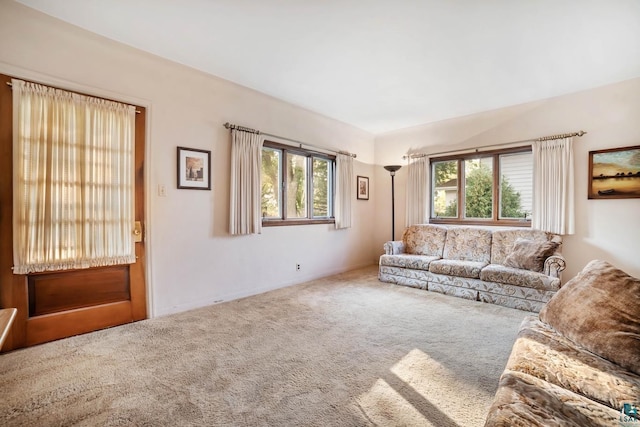 carpeted living room with a wealth of natural light