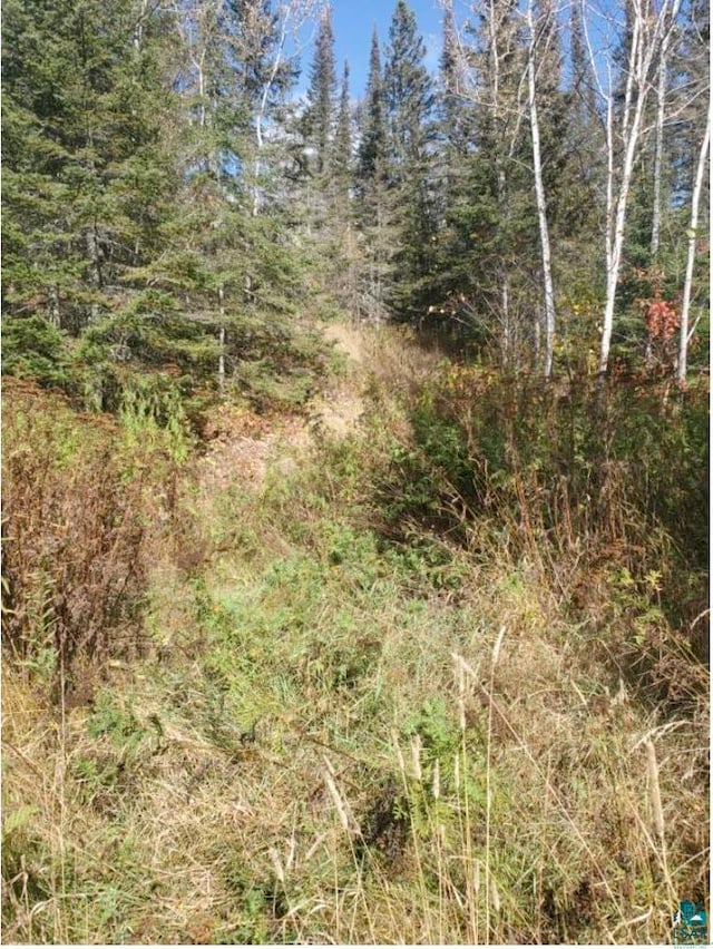 TBD Highway 61 E, Grand Marais MN, 55604 land for sale