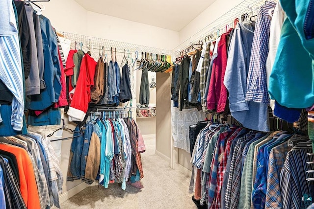 spacious closet with carpet