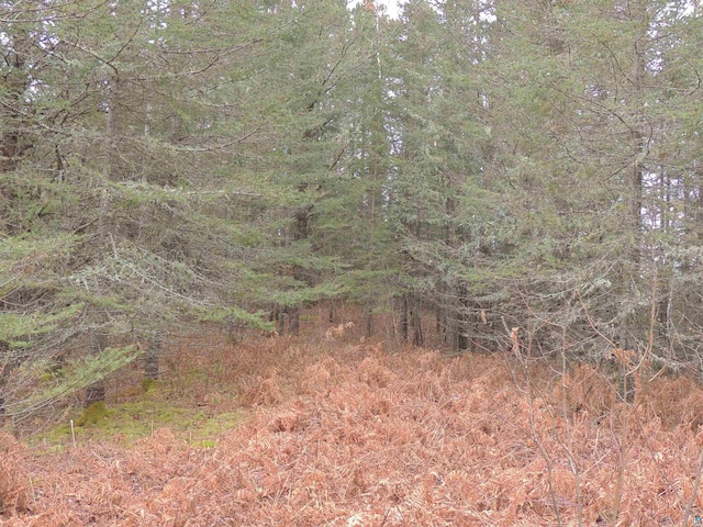 Listing photo 3 for XX Bally Creek Rd, Grand Marais MN 55604