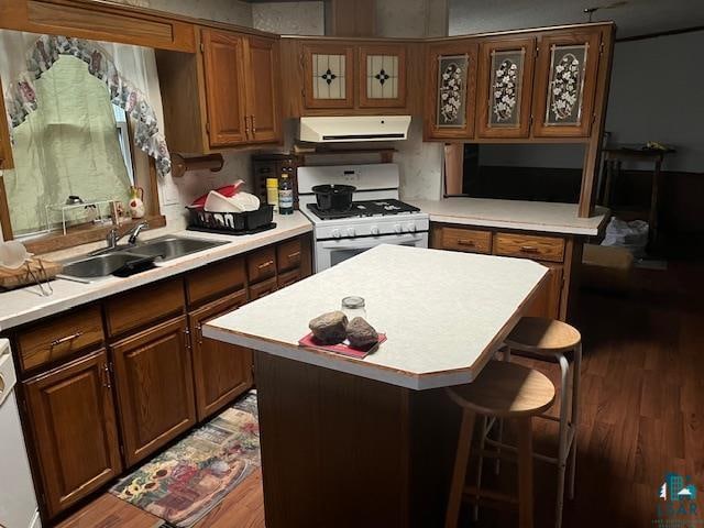 kitchen featuring dark hardwood / wood-style flooring, white gas range, sink, exhaust hood, and a center island