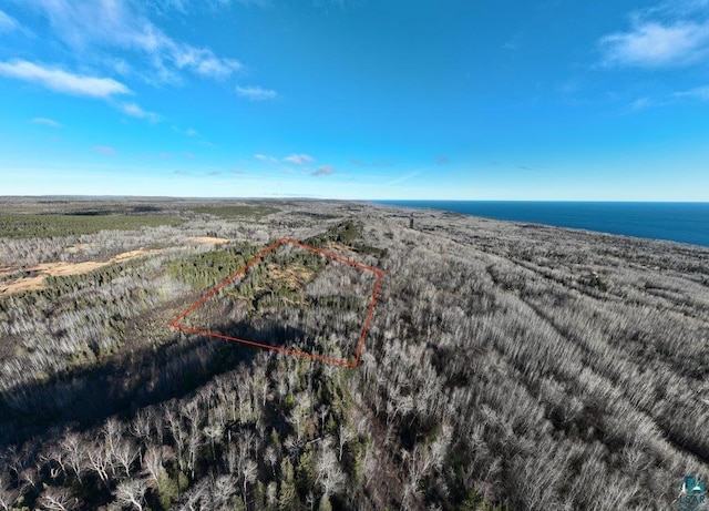 XXX Bally Creek Rd, Grand Marais MN, 55604 land for sale