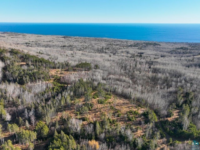 Listing photo 2 for XXX Bally Creek Rd, Grand Marais MN 55604