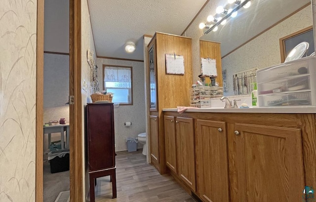 bathroom with a textured ceiling, vanity, vaulted ceiling, hardwood / wood-style floors, and toilet