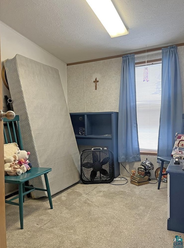 miscellaneous room featuring carpet flooring, crown molding, and a textured ceiling