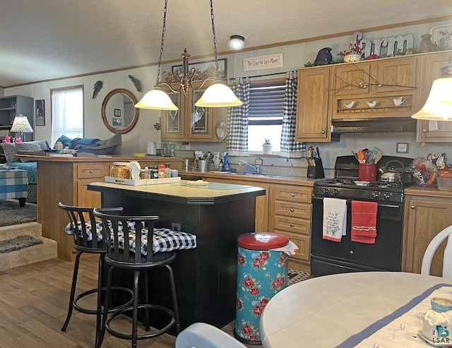 kitchen featuring hanging light fixtures, black gas range, hardwood / wood-style flooring, and plenty of natural light