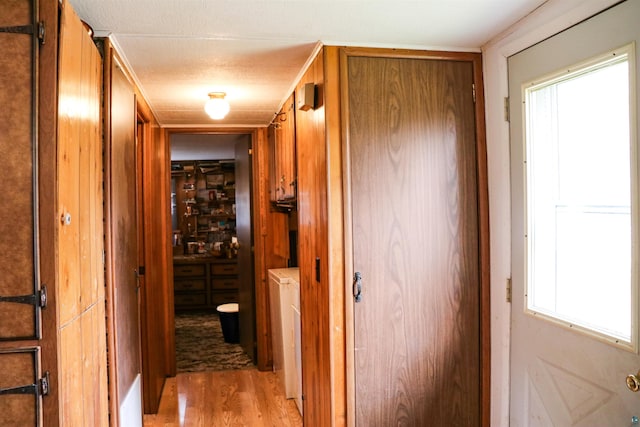 corridor with light hardwood / wood-style floors, a healthy amount of sunlight, and a textured ceiling