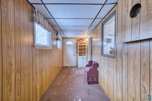 corridor with carpet flooring, a drop ceiling, and wooden walls