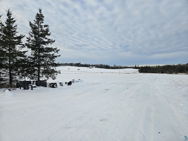 view of yard covered in snow