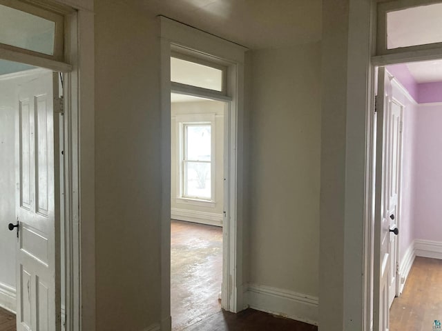 hall featuring hardwood / wood-style floors