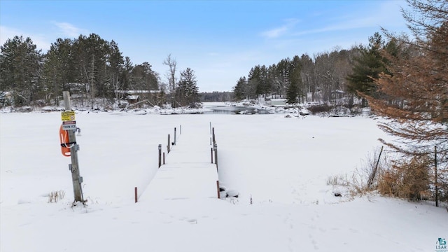 view of snowy yard