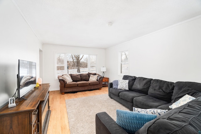 living room featuring ornamental molding and light wood-type flooring