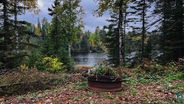 view of water feature featuring an outdoor fire pit