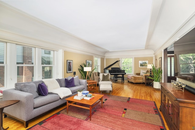 living room with hardwood / wood-style flooring and ornamental molding