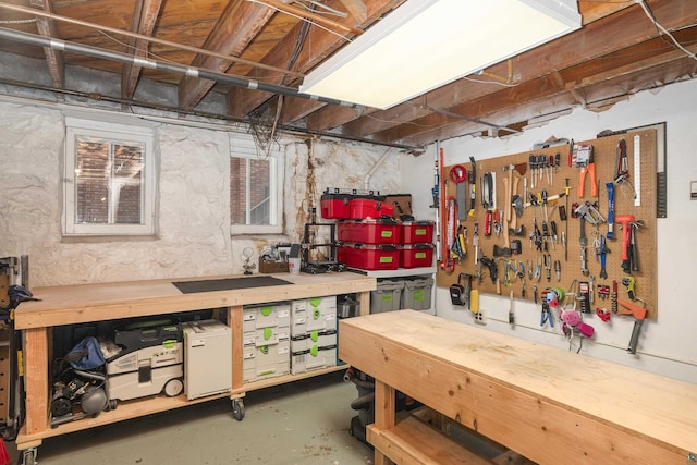 basement with a workshop area