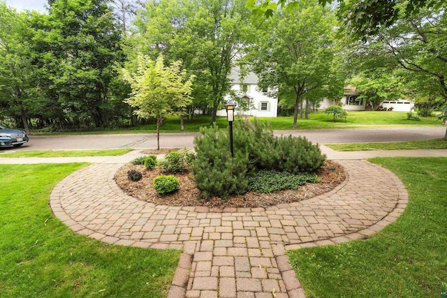 view of property's community with a lawn