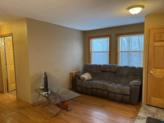 living room featuring light hardwood / wood-style flooring