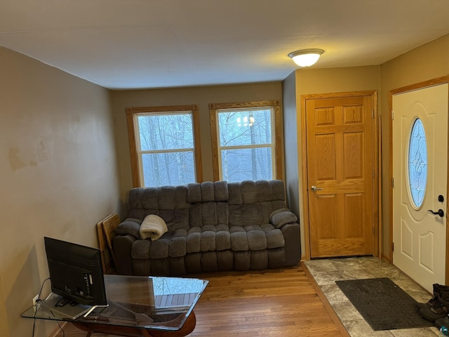 living room with wood-type flooring