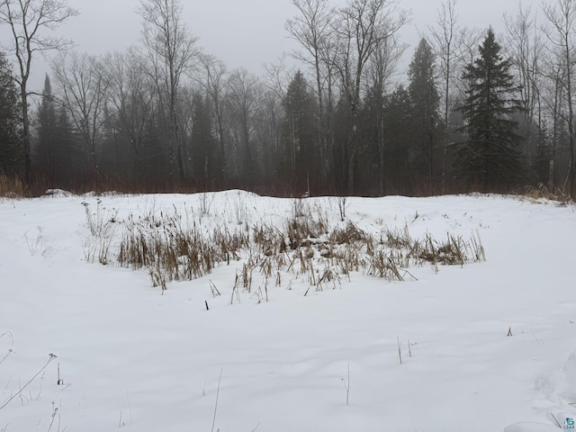 view of snowy view