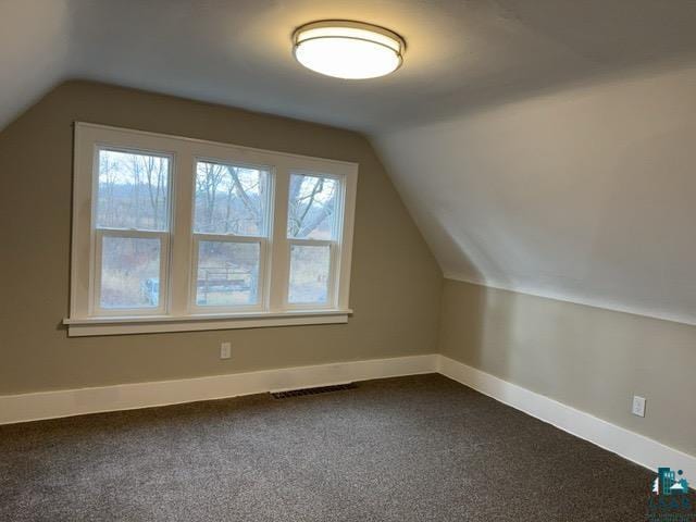 additional living space featuring carpet floors, vaulted ceiling, and plenty of natural light