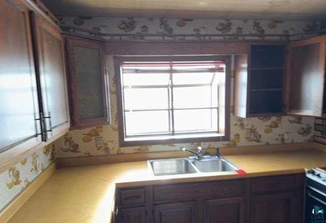 kitchen featuring a healthy amount of sunlight, dark brown cabinetry, and sink