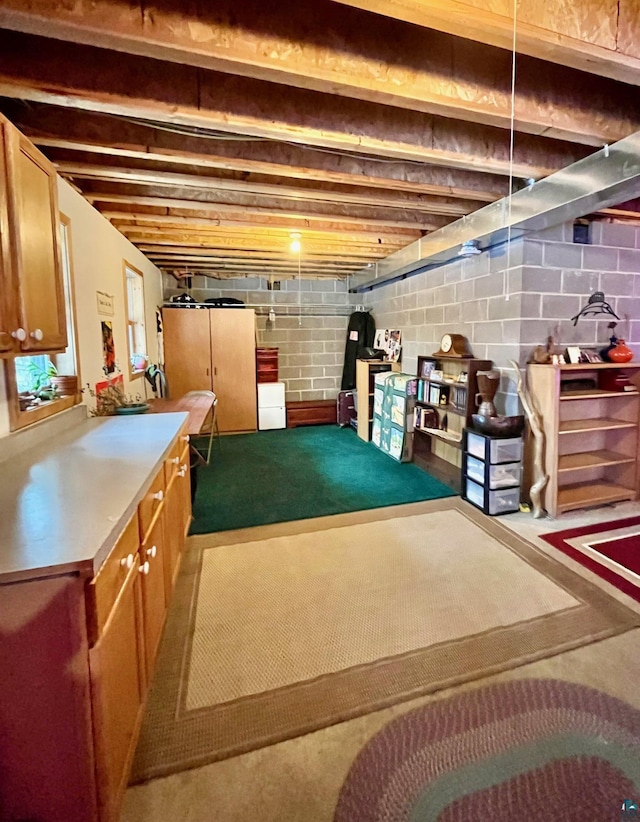 basement featuring carpet