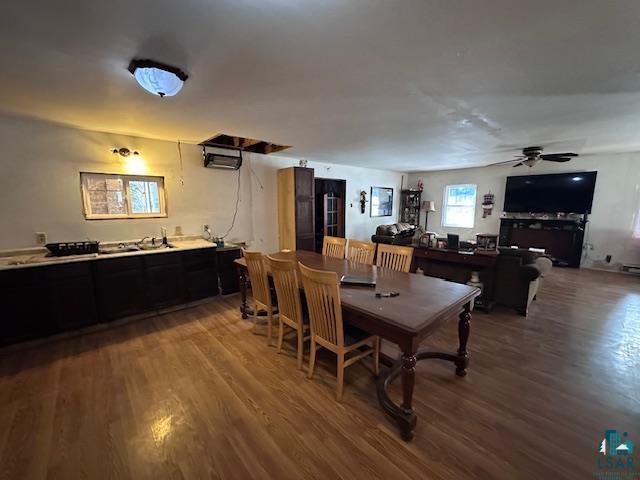 dining room featuring hardwood / wood-style floors and ceiling fan