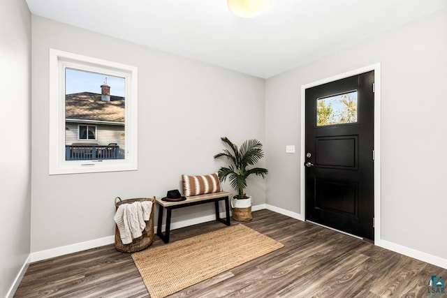 entrance foyer featuring dark wood-type flooring