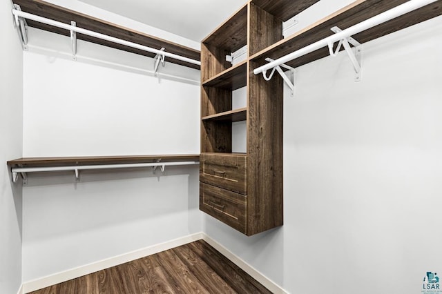 spacious closet with dark wood-type flooring