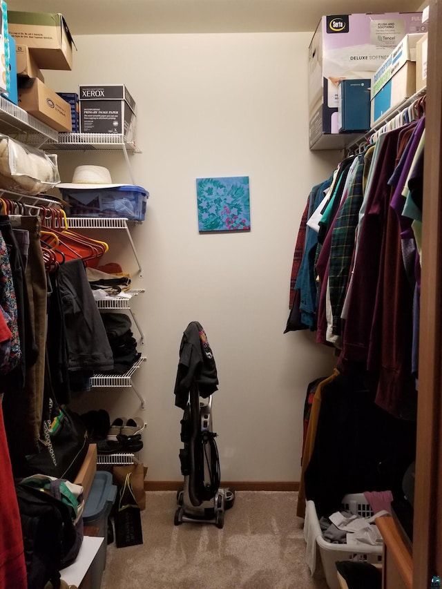 spacious closet with carpet flooring