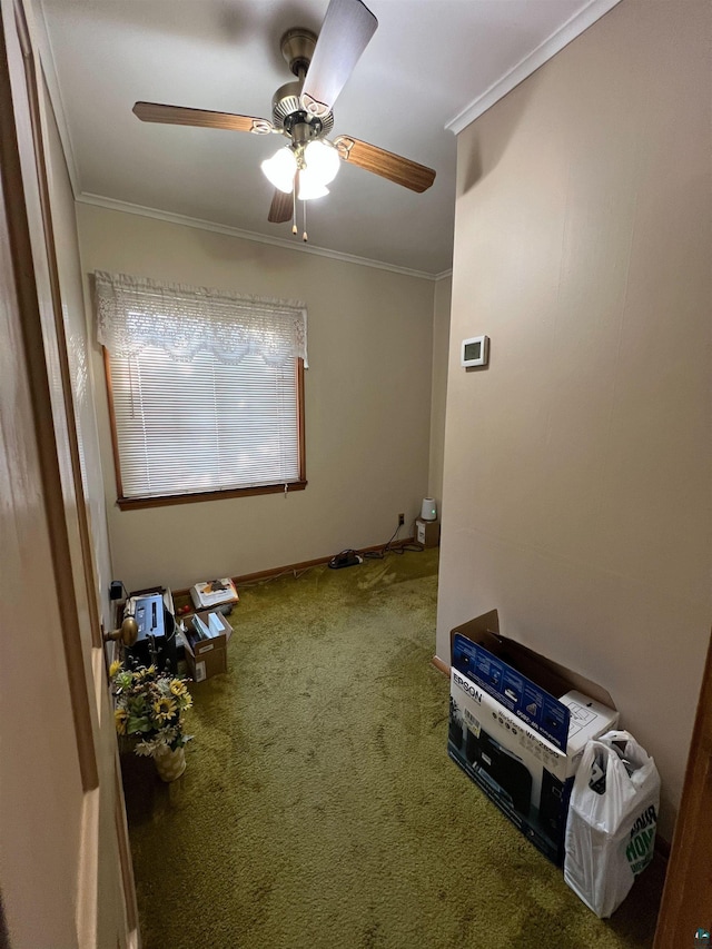 interior space with ceiling fan, carpet floors, and ornamental molding