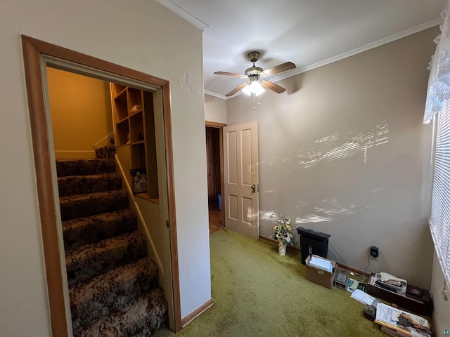 stairway featuring carpet floors, ceiling fan, and ornamental molding