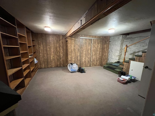 basement with wood walls