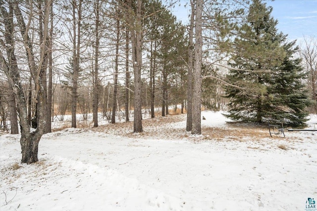 view of yard layered in snow