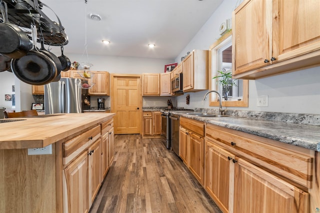 kitchen with light brown cabinets, sink, wooden counters, dark hardwood / wood-style floors, and appliances with stainless steel finishes