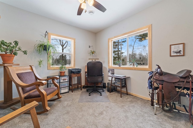 office featuring ceiling fan and carpet