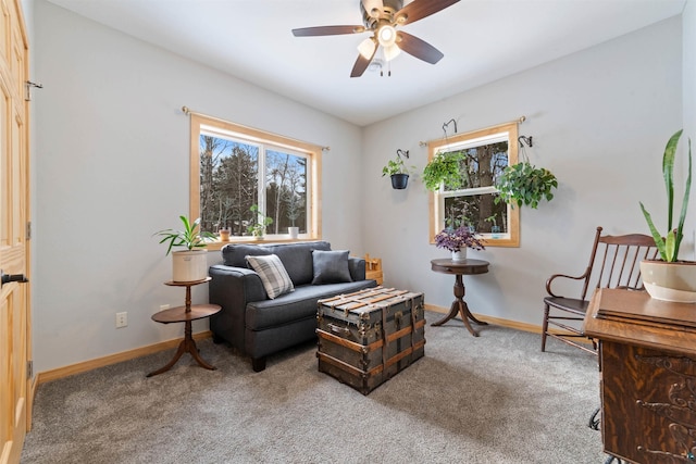 living area featuring ceiling fan and carpet