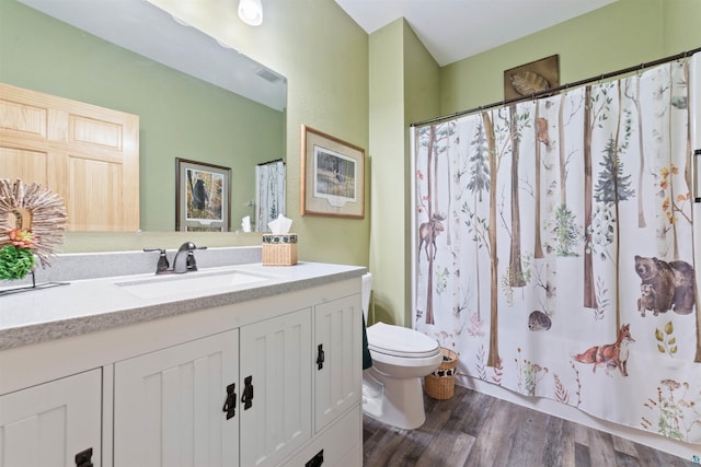 bathroom featuring vanity, wood-type flooring, and toilet