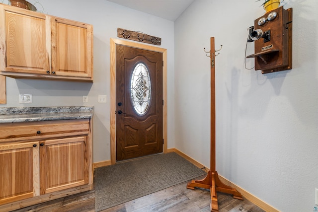 entrance foyer featuring dark wood-type flooring