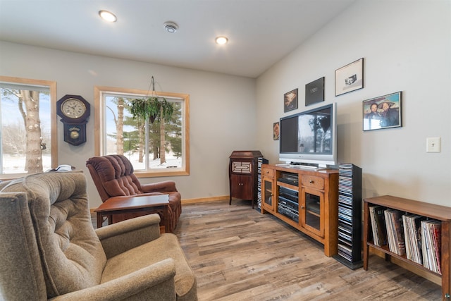 living room with hardwood / wood-style flooring