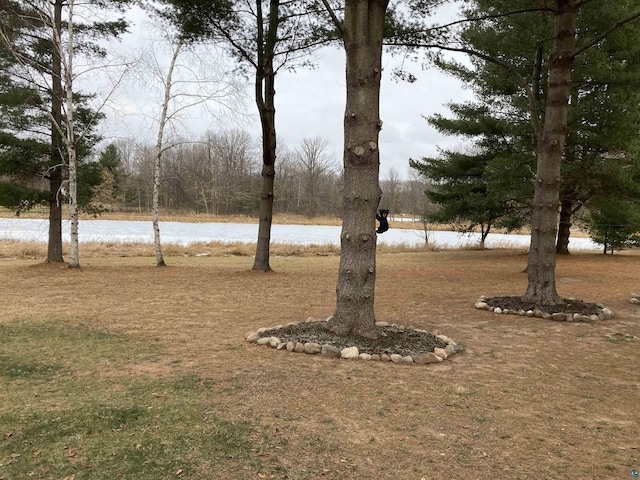 view of yard featuring a water view