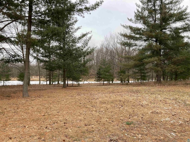 view of yard with a water view