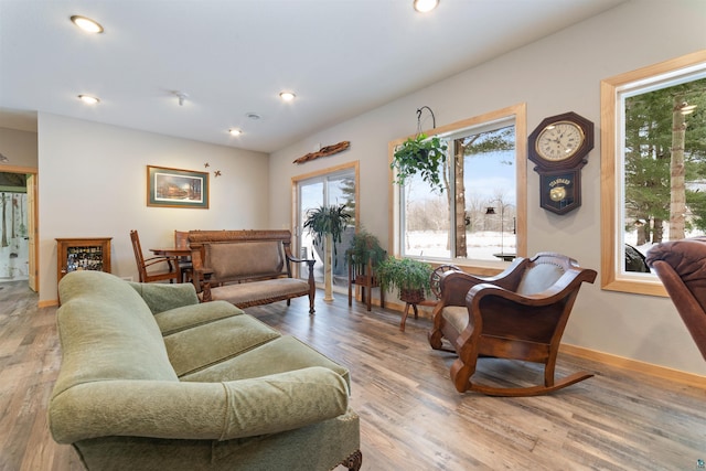 living room with hardwood / wood-style flooring and a healthy amount of sunlight