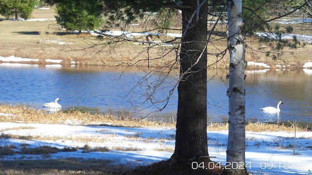 property view of water