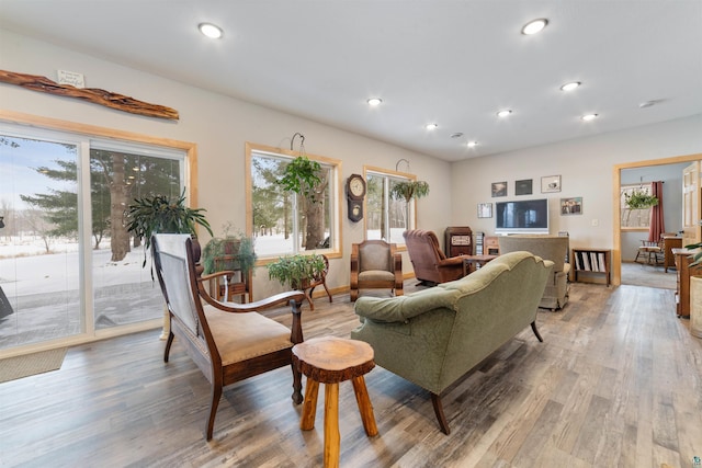 living room with wood-type flooring