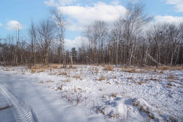 view of snowy landscape