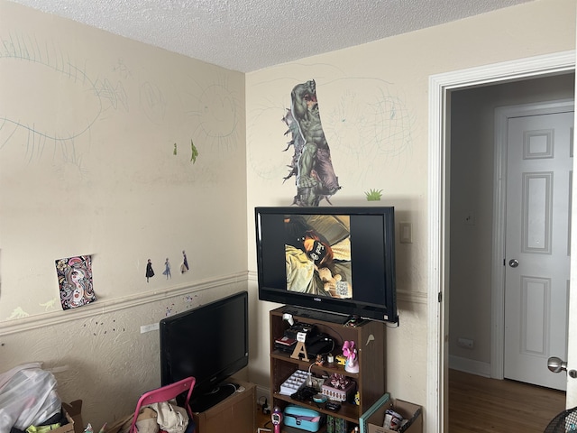 living room with a textured ceiling and hardwood / wood-style flooring