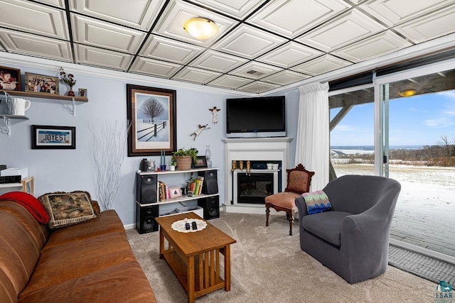 living room featuring carpet