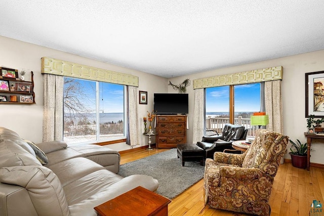 living room featuring a healthy amount of sunlight, a textured ceiling, and light hardwood / wood-style flooring